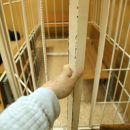 Жителя Княжпогостского района отправили в колонию за убийство брата Жителя Княжпогостского района отправили в колонию за убийство брата