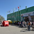 В Сыктывкаре за чемпионство борются шпицы и Кинг-Конг